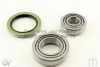 ASHUKI 1410-8002 Wheel Bearing Kit